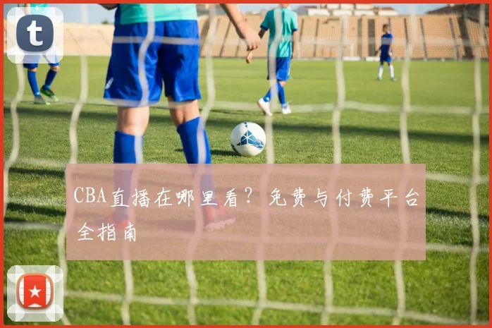 CBA直播在哪里看？免费与付费平台全指南