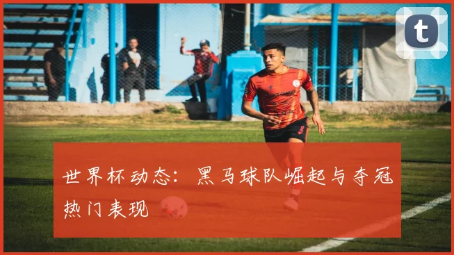 世界杯动态:黑马球队崛起与夺冠热门表现