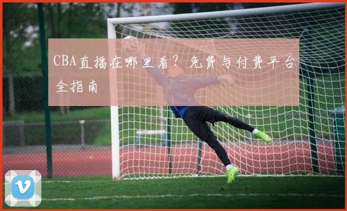 CBA直播在哪里看?免费与付费平台全指南